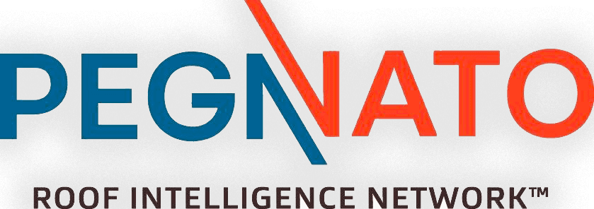 Pegnato Intelligence Network Logo